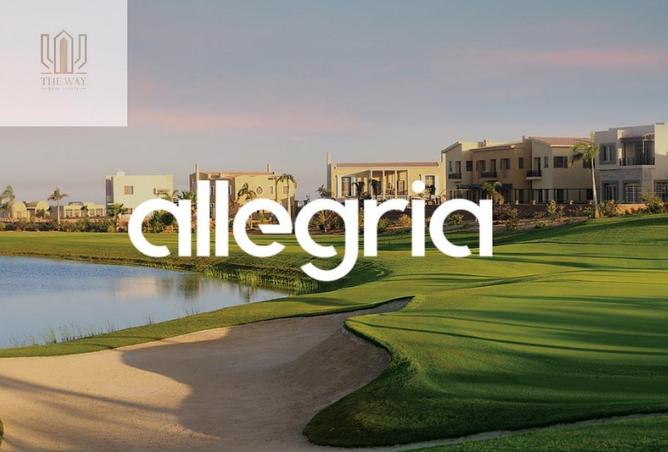 8384526 - Property Image 3