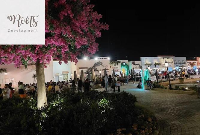 8429629 - Property Image 2