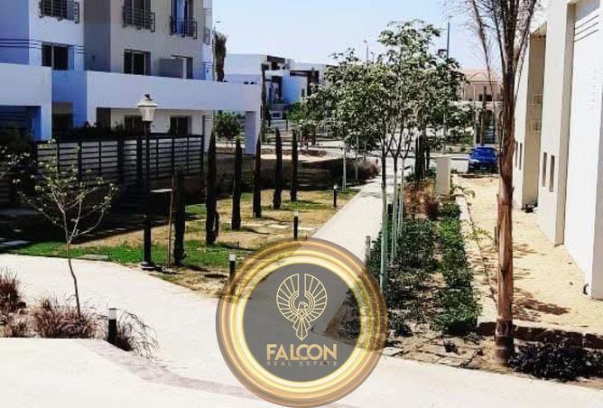 7902229 - صورة العقار 2