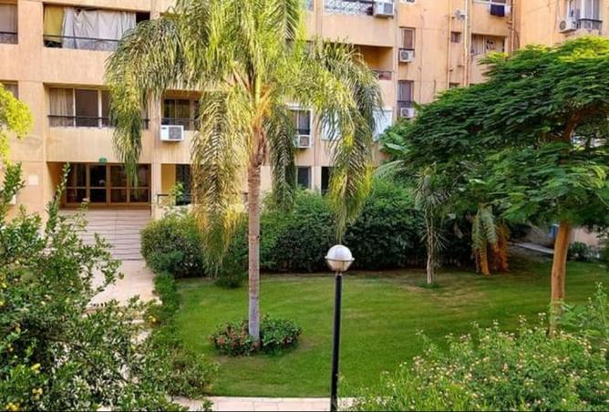 8269980 - Property Image 3