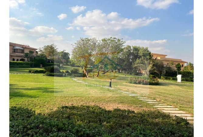 8153556 - صورة العقار 3