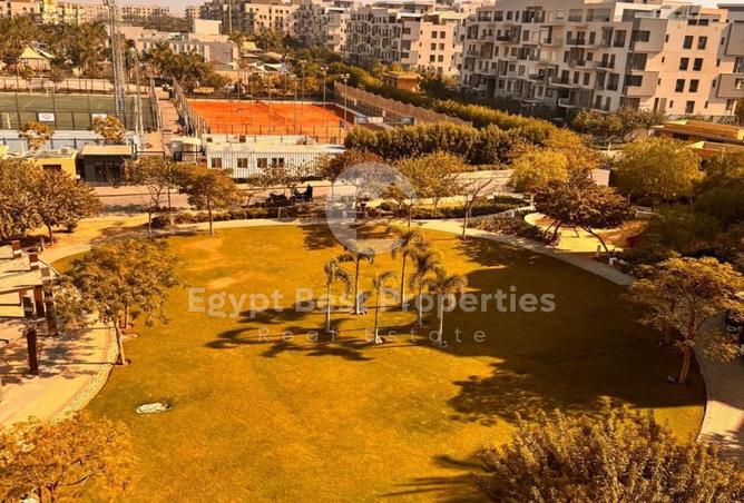 8394726 - Property Image 3