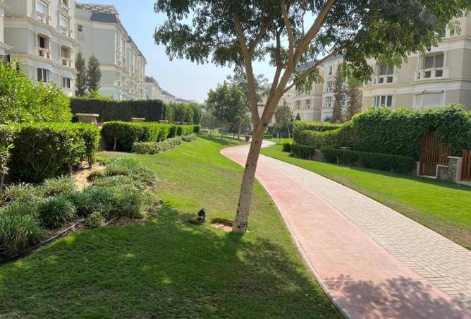 7965297 - صورة العقار 2