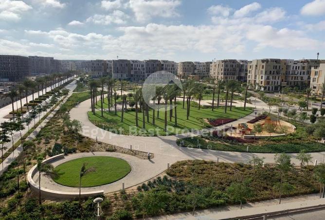 8131537 - صورة العقار 3