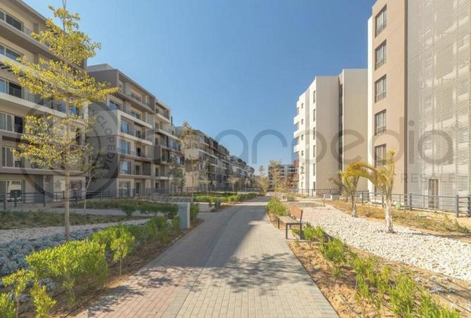 8206097 - Property Image 3