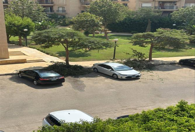 7988010 - Property Image 3