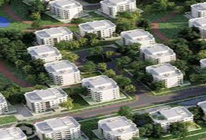 7996647 - صورة العقار 3