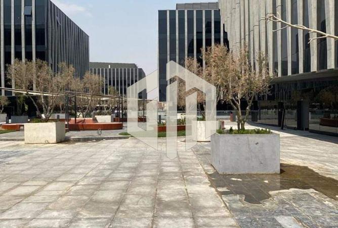 7932574 - صورة العقار 3