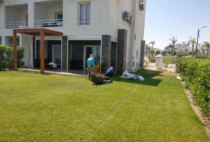 8124835 - صورة العقار 3