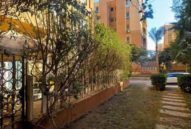 8267112 - Property Image 3