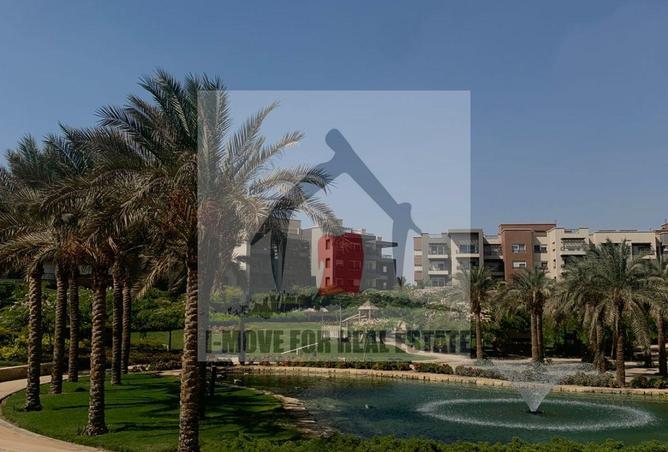 8115446 - صورة العقار 3