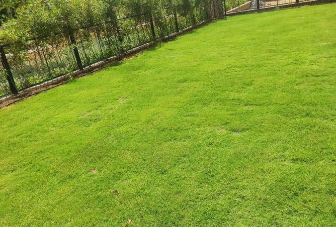 8353817 - صورة العقار 3