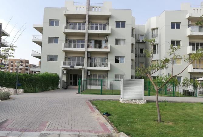 8337634 - Property Image 3