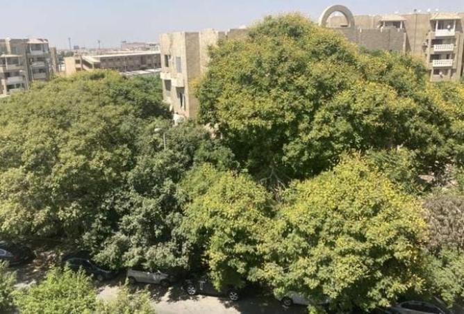 8180657 - الصورة الرئيسية للعقار