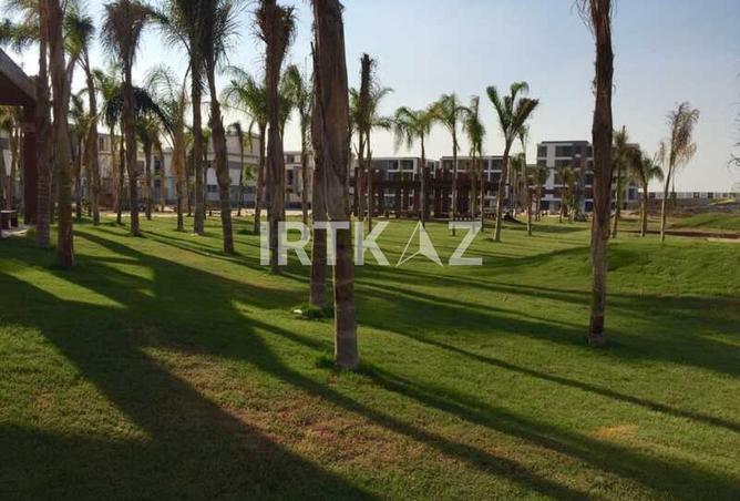 8064705 - Property Image 3