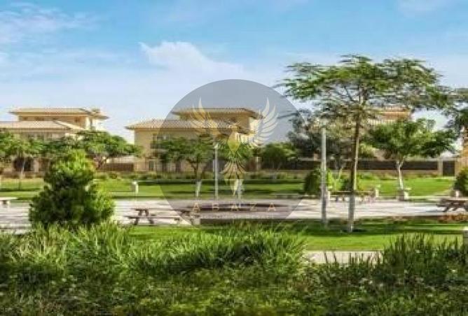 8379675 - Property Image 3