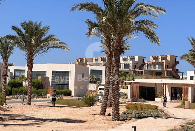 7923491 - الصورة الرئيسية للعقار