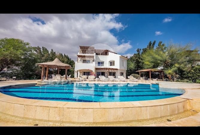 7970357 - صورة العقار 3