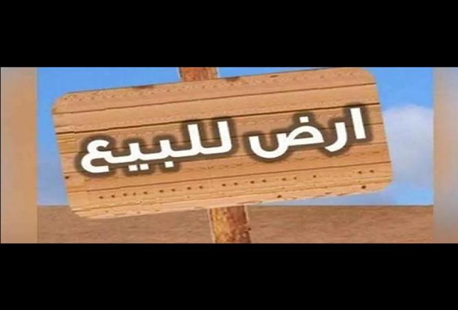 8435354 - Property Image 2