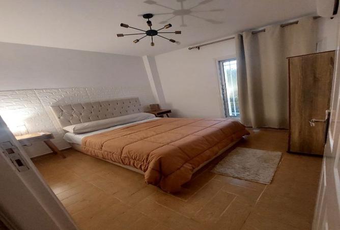 8009216 - Property Image 3