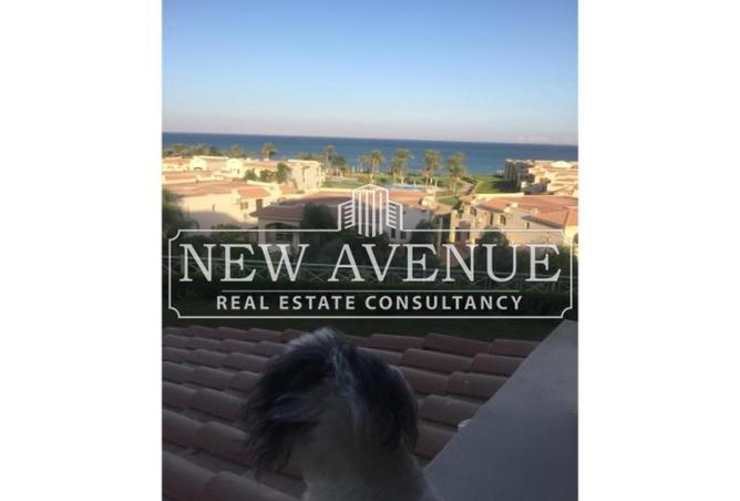 8178845 - صورة العقار 3