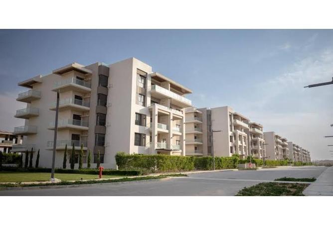 8399447 - صورة العقار 3