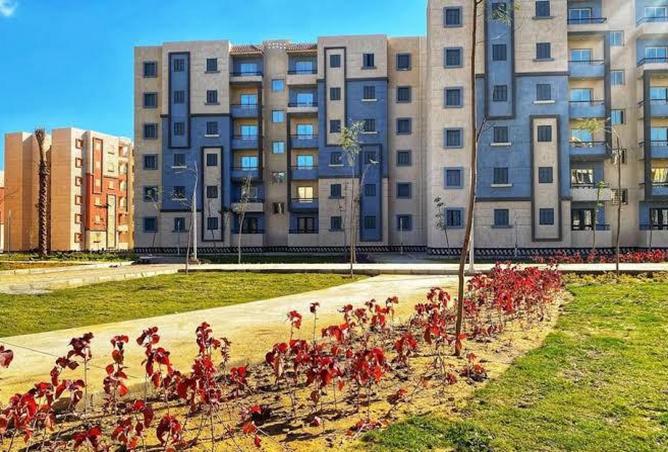 8306047 - صورة العقار 3