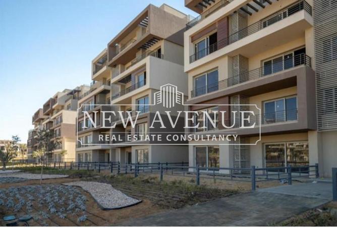 8347641 - Property Image 3