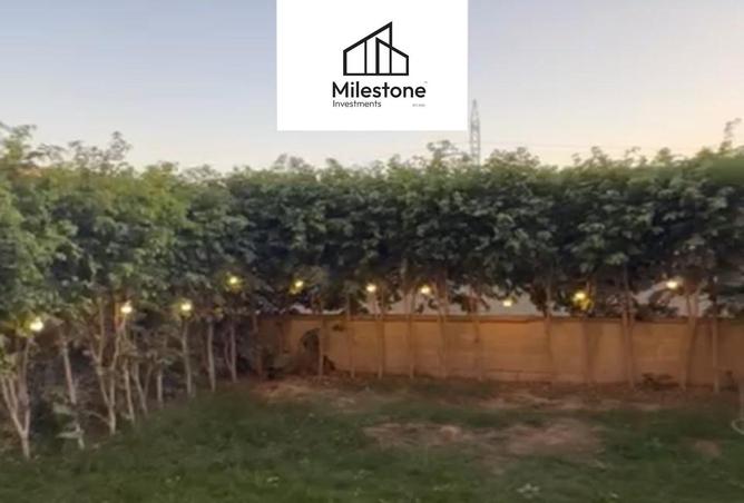 8504982 - Property Image 3