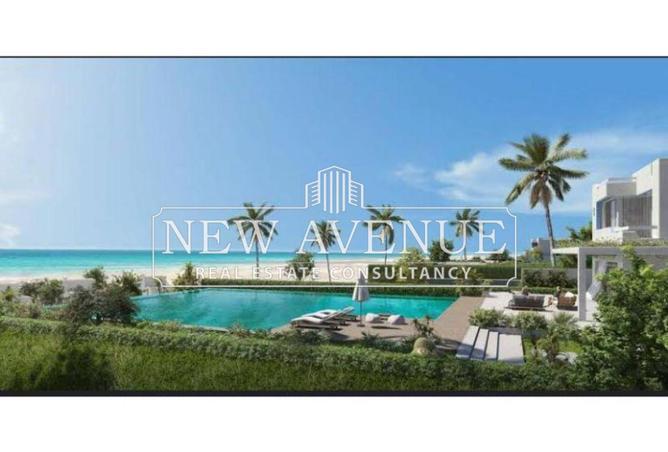 8437175 - Property Image 3