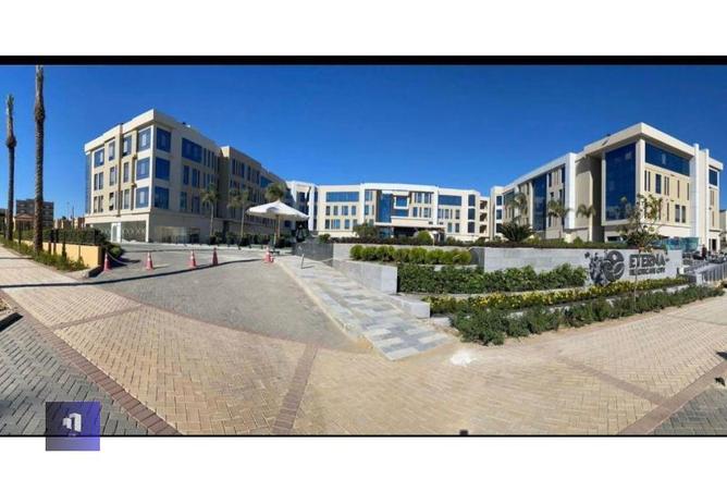 7871329 - Property Image 3