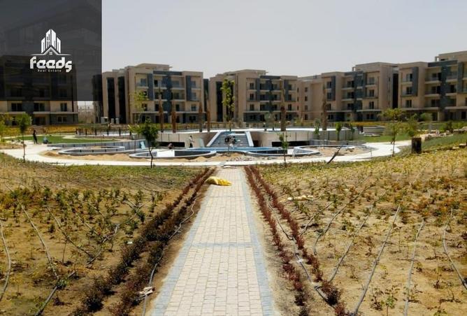 8063892 - صورة العقار 3