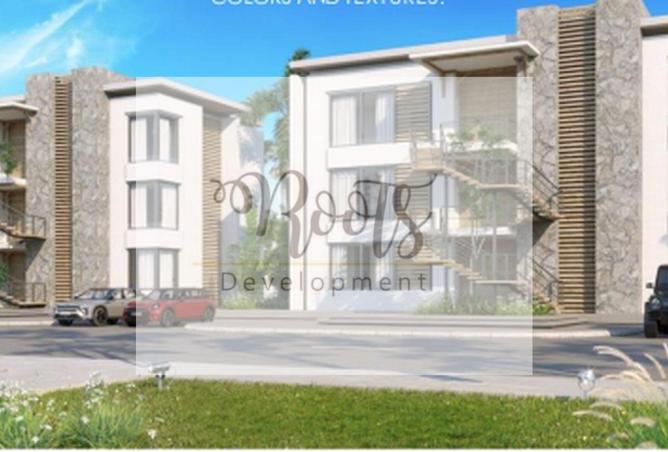 8035837 - Property Image 3