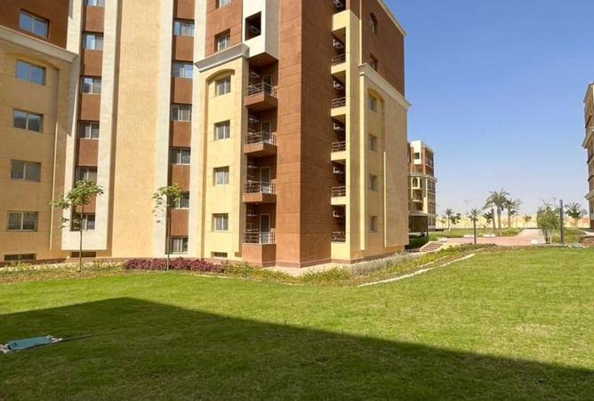 8387846 - Property Image 3