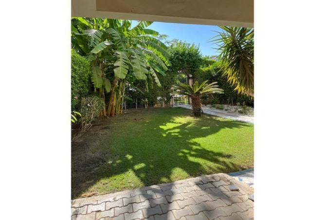 8388800 - صورة العقار 3