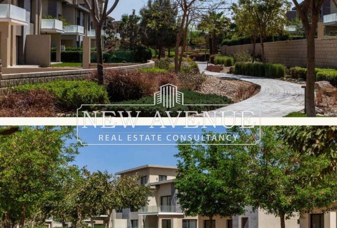8053872 - Property Image 3