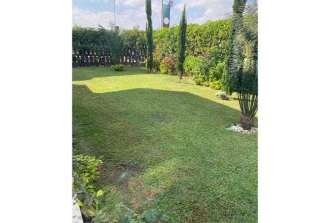 8108727 - Property Image 2