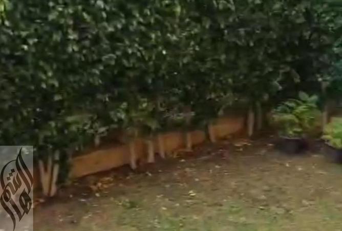 8250750 - Property Image 2