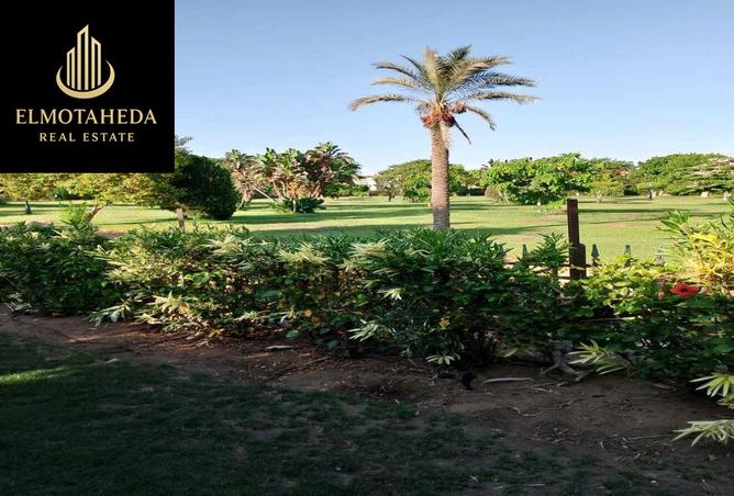 8222342 - Property Image 3