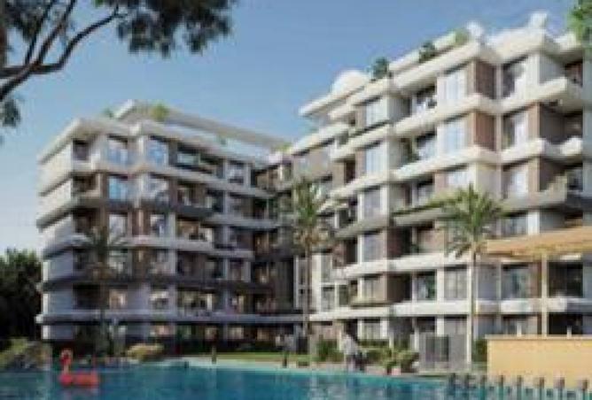 8242716 - Property Image 3