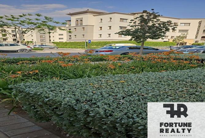 8383735 - صورة العقار 3