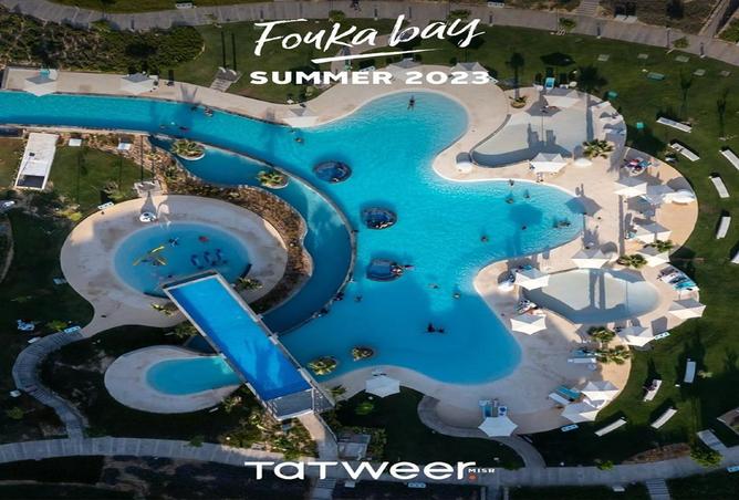 8205855 - صورة العقار 3