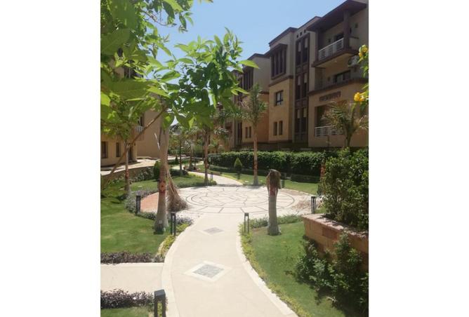 8150714 - صورة العقار 3