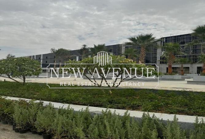 8139005 - صورة العقار 3