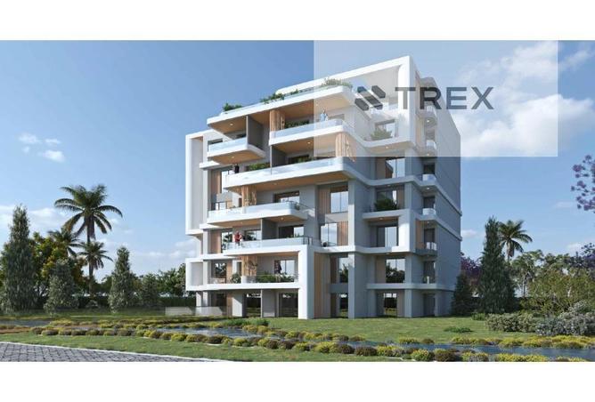 8312644 - Property Image 3