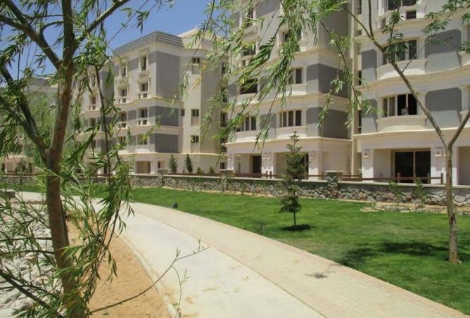 8294653 - Property Image 3