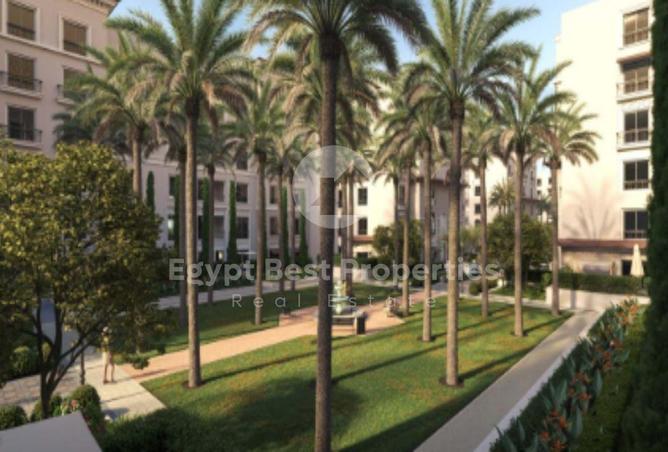 8053359 - Property Image 3