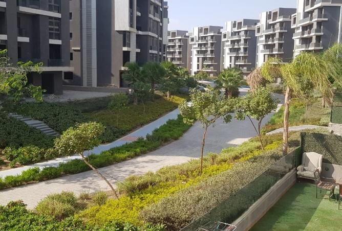 8102862 - الصورة الرئيسية للعقار