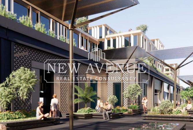 8175398 - Property Image 3