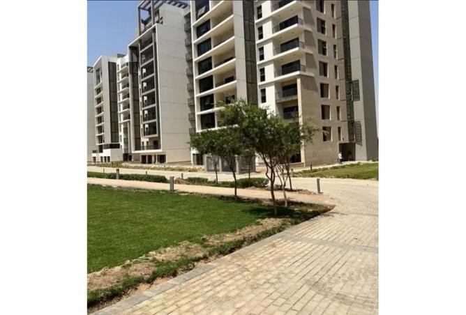 8060865 - Property Image 3